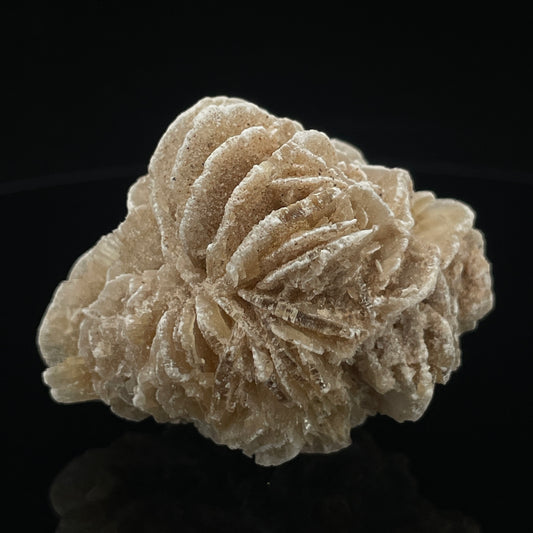 Desert Rose (Gypsum Rosette)